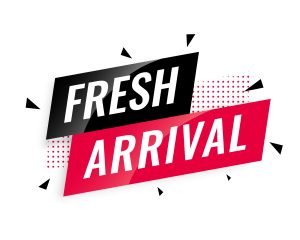 product launch